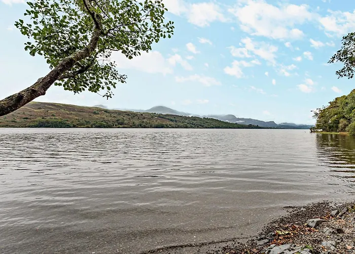 1 Bed In Water Yeat 50081 *